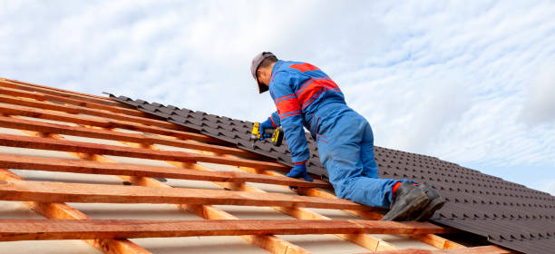 Best Sheet Metal Roofing  in Canton, IL